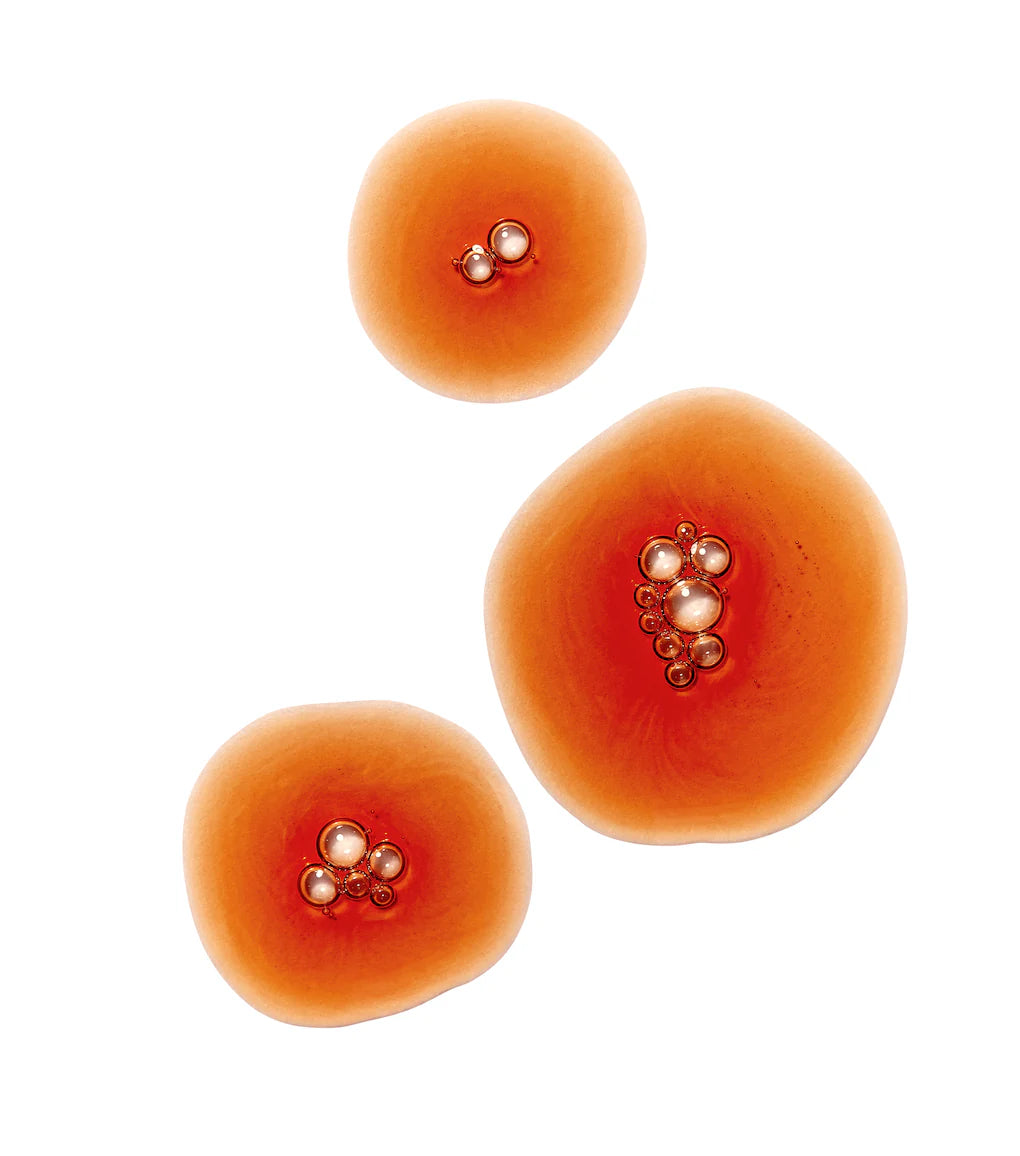 Agent Nateur (Calm Beauty)